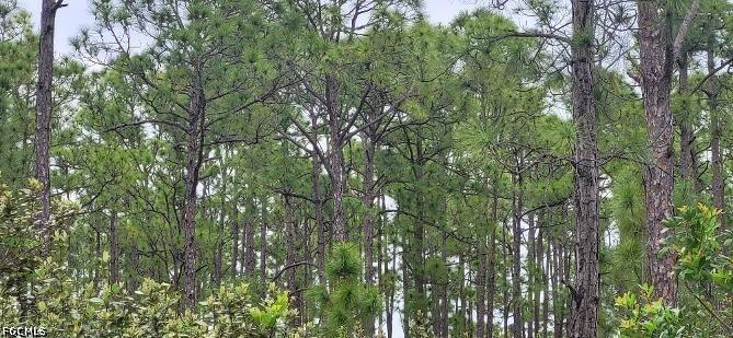 27274 Green Gulf Blvd., Punta Gorda, FL 33967