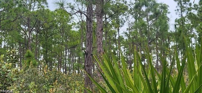 27278 Green Gulf Blvd., Punta Gorda, FL 33955