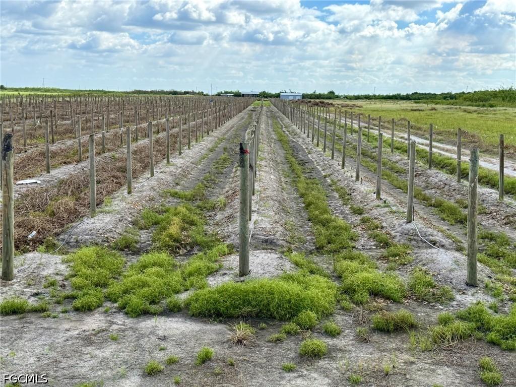 5567 5th Rd., Labelle, FL 33935