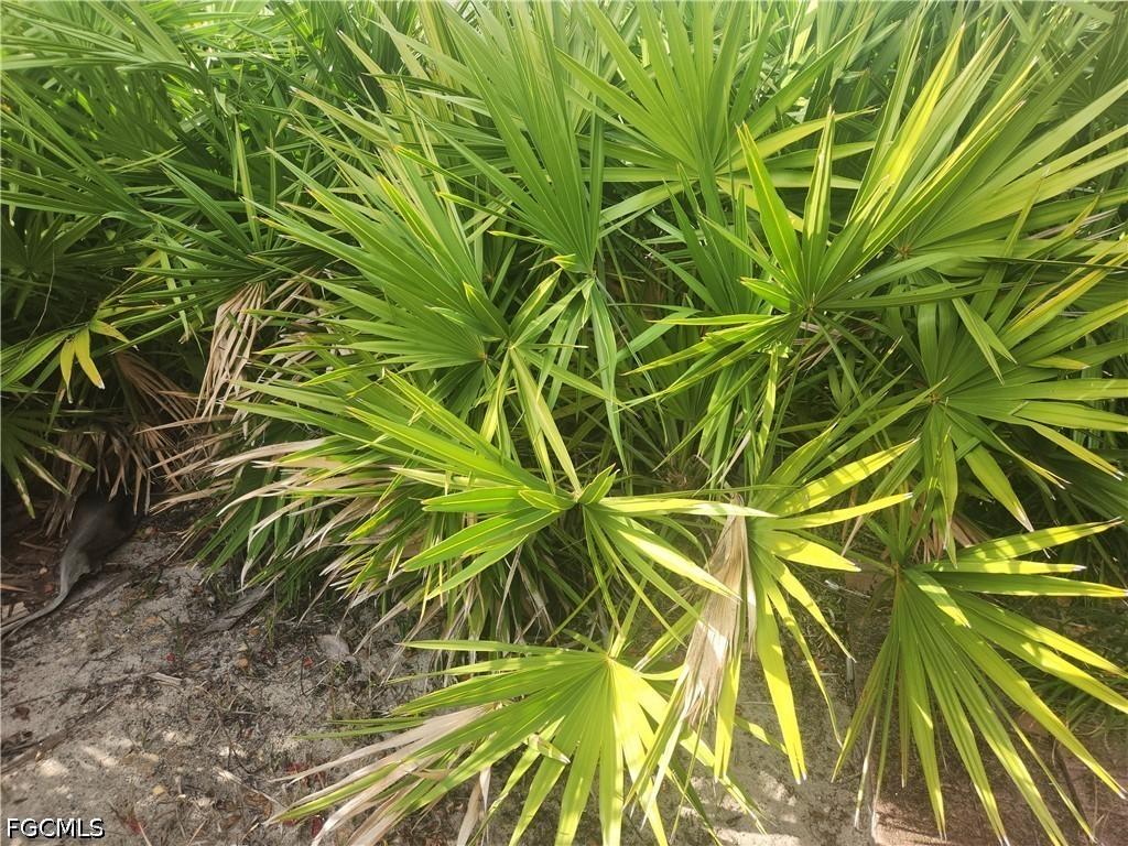 544 Wabasso Ave., Lehigh Acres, FL 33974