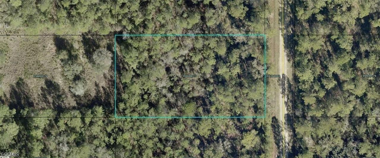 10065 Carpenter Ave., Hastings, FL 32145