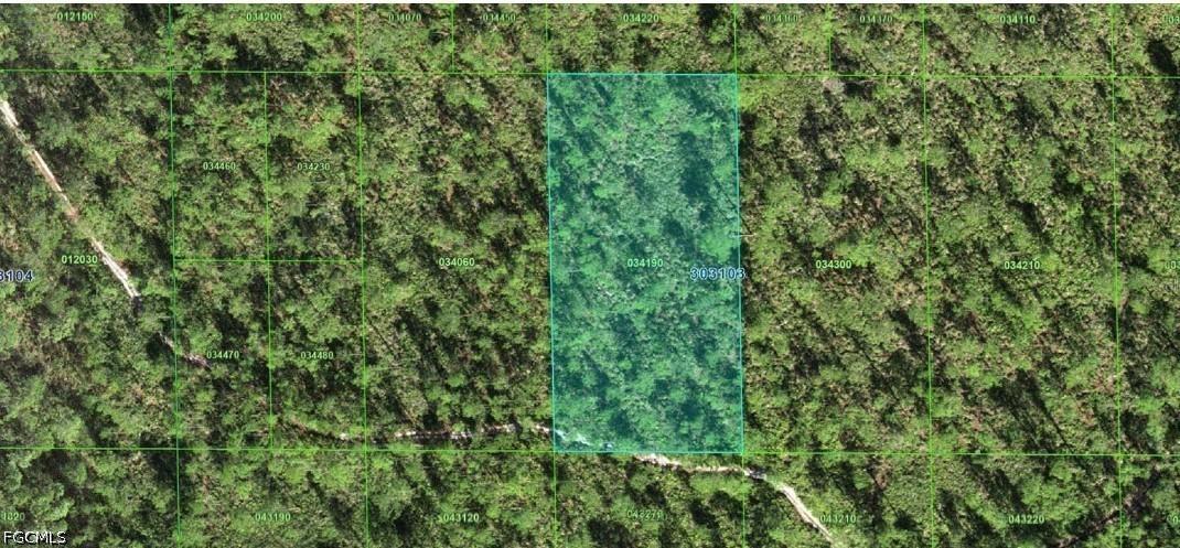 30-31-03-000000-034190 Inaaccesible Track, Lake Wales, FL 33898