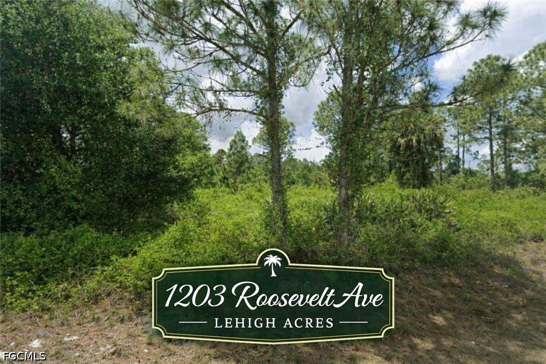 1203 Roosevelt Ave., Lehigh Acres, FL 33972