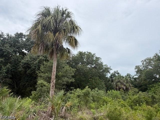 1905 Hamilton Ave., Lehigh Acres, FL 33972