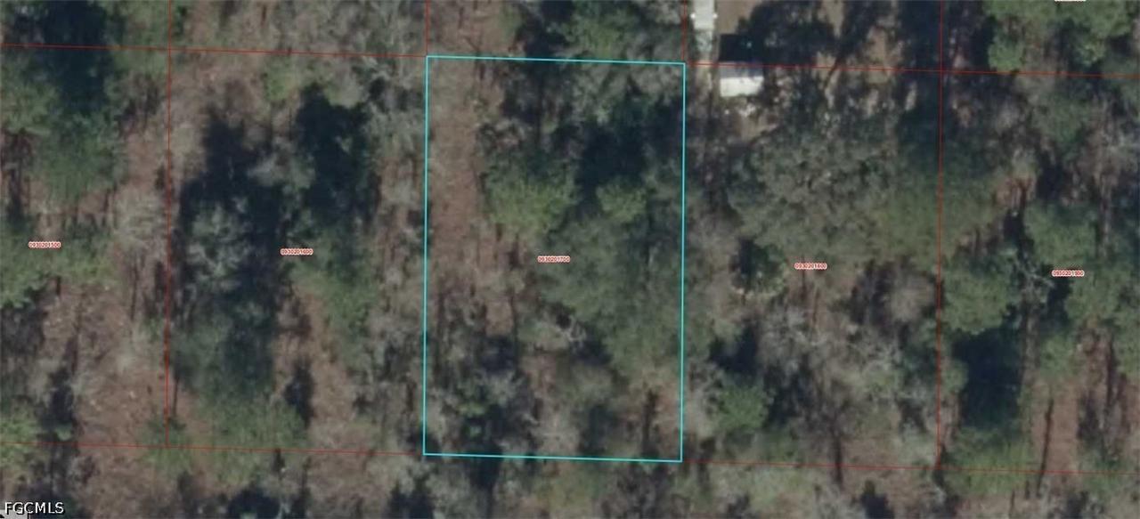 0930201700 NE 16th Ln., Williston, FL 32696