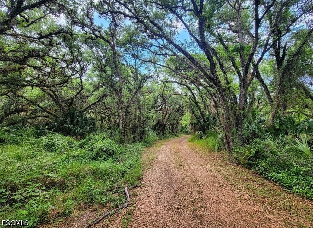 1040 Kirby Thompson Rd., Fort Denaud, FL 33935