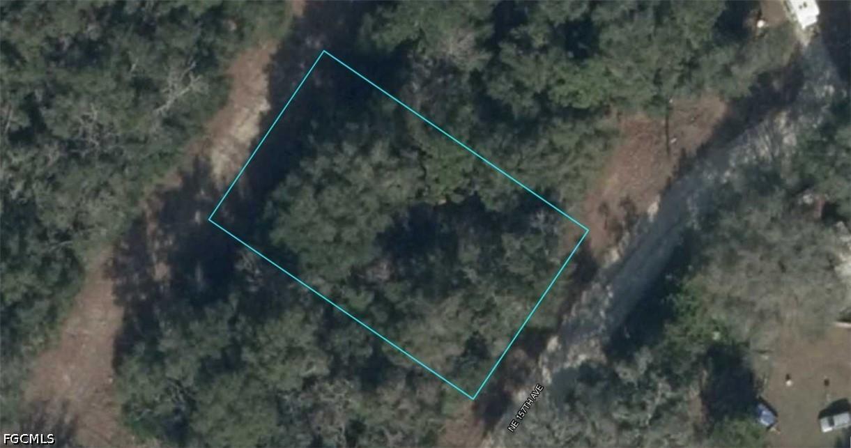 09214-002-00 NE 157th Ave., Williston, FL 32696