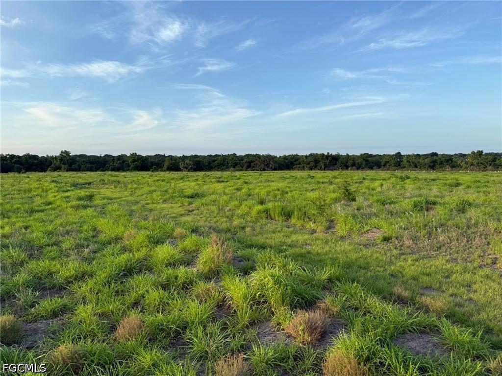 1445 S Florida Ave., Wauchula, FL 33873