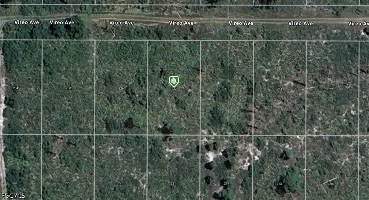 222 Vireo Ave., Sebring, FL 33870