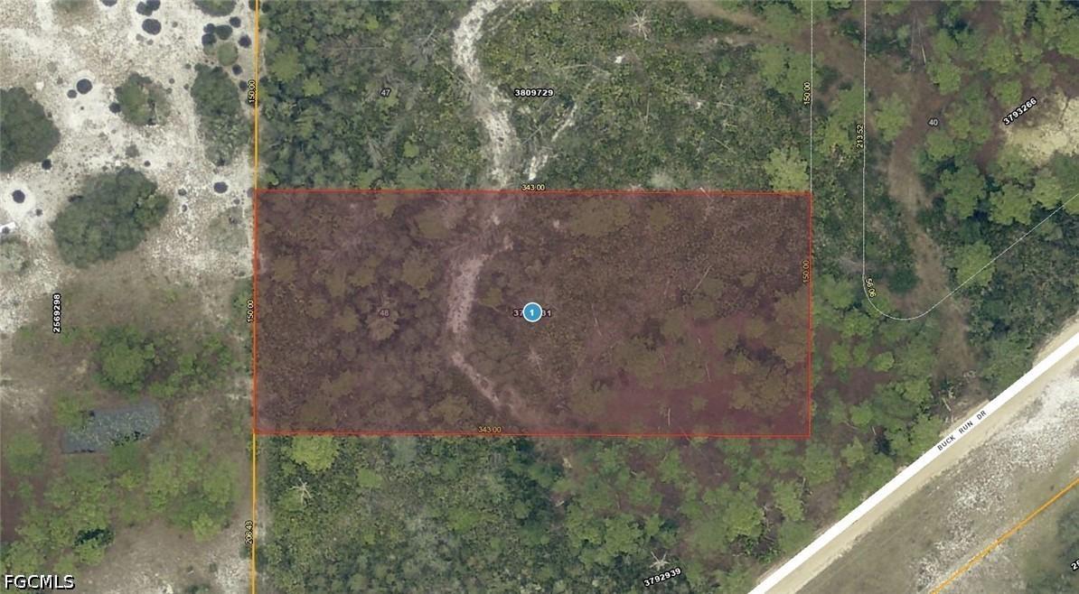28-17-28-0004-000-03100 Buck Run Dr., Paisley, FL 32767