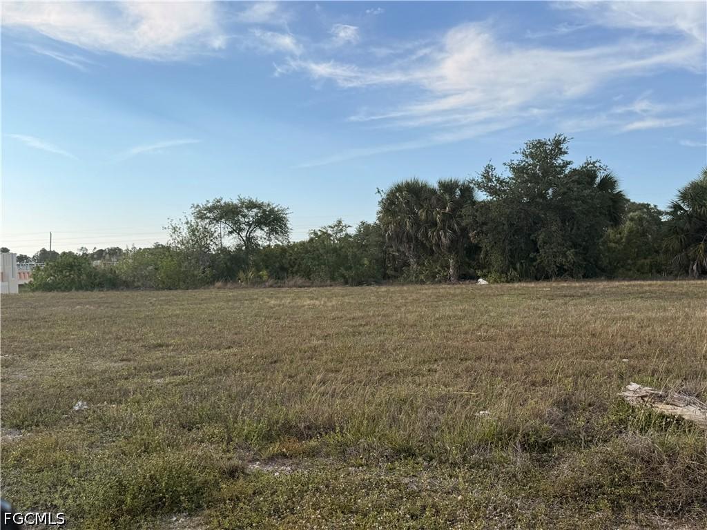1421 NE 23rd St., Cape Coral, FL 33909
