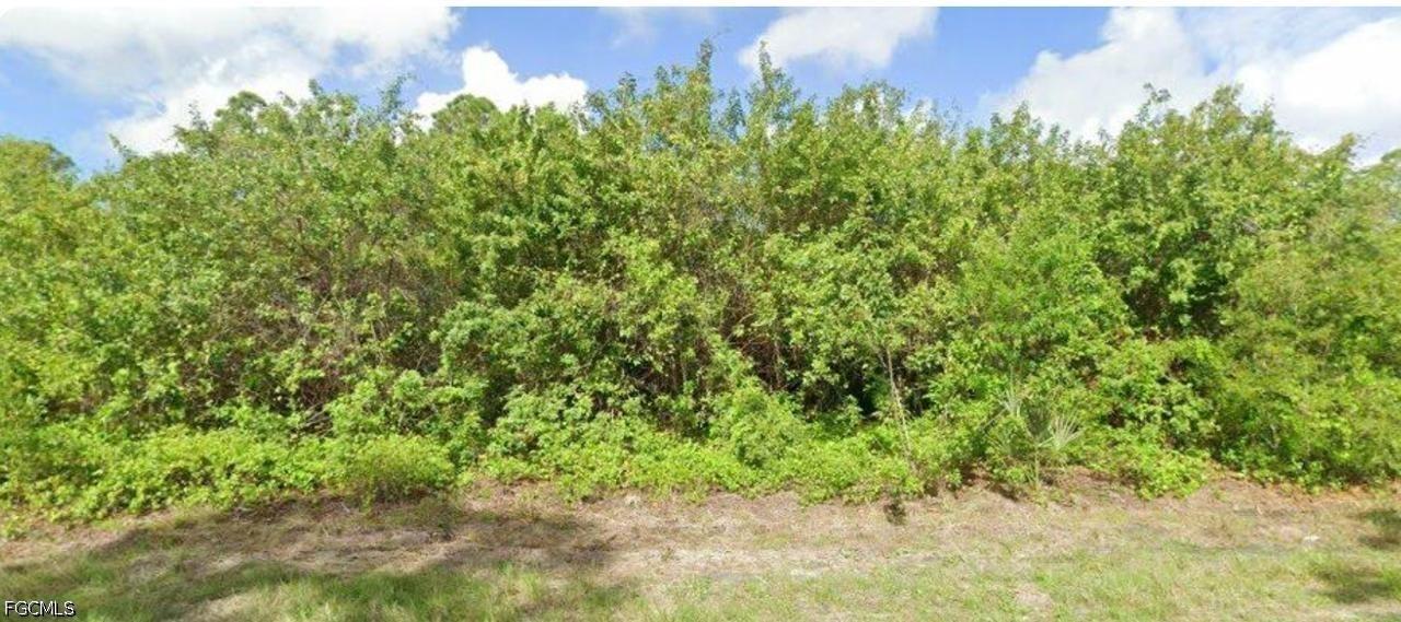 1165 Agnew St., Port Charlotte, FL 33980