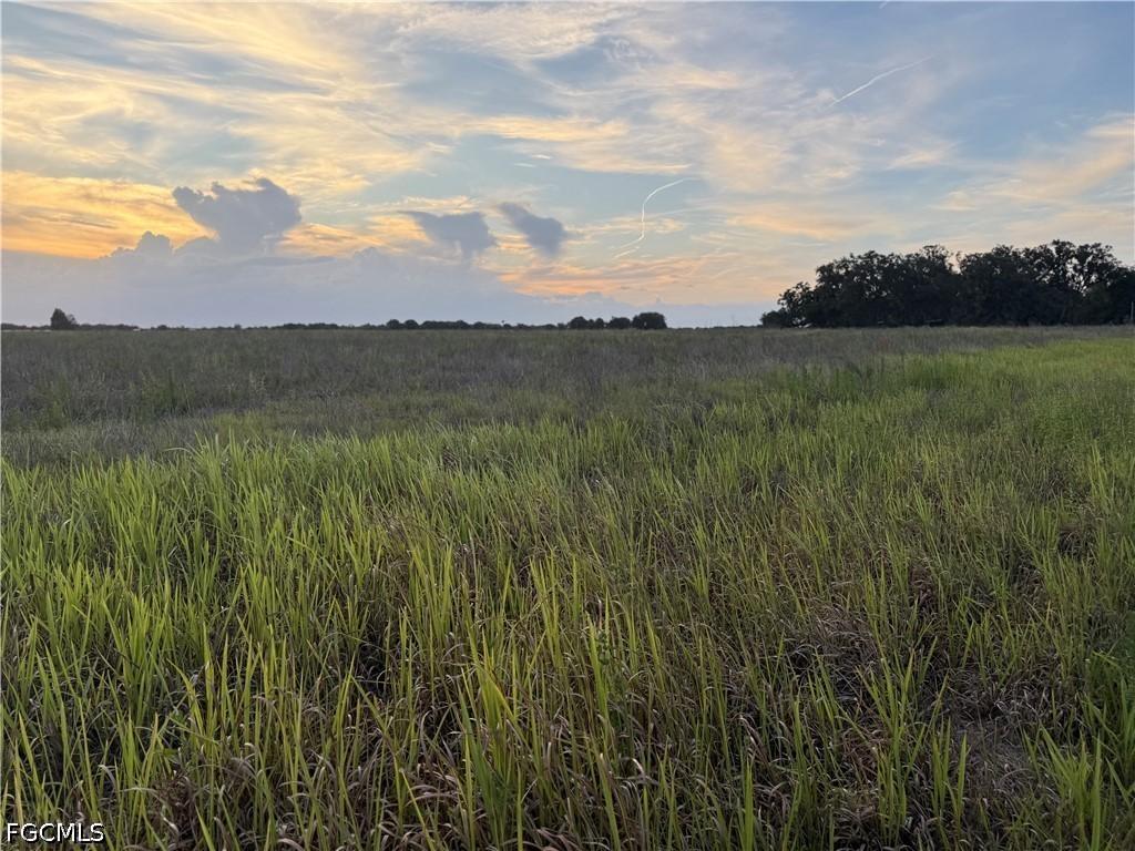 Rest Haven Rd, Zolfo Springs, FL 33890