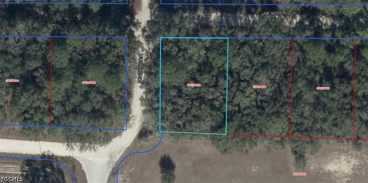 NE 50th Pl., Williston, FL 32696