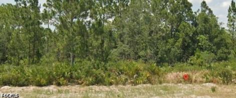 3011 W Dixon Rd., Avon Park, FL 33825