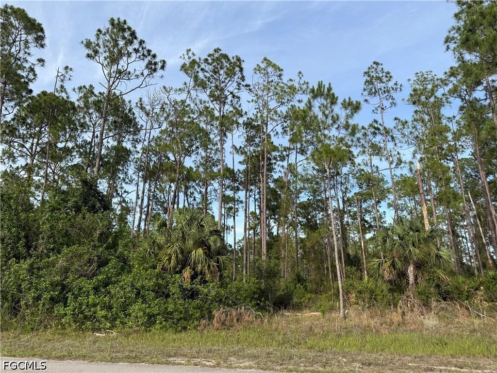 2202 Truman Ave., Alva, FL 33920
