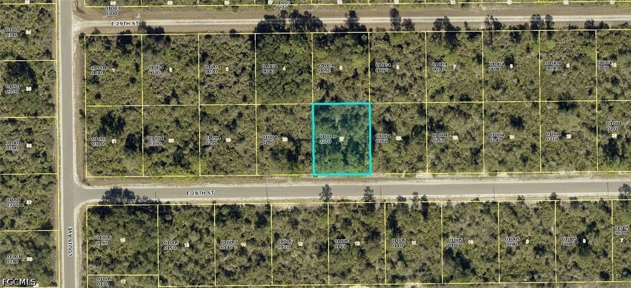 4199 E 28th St., Alva, FL 33920