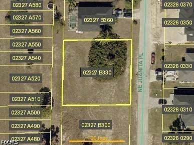 3106 NE Juanita Pl., Cape Coral, FL 33909