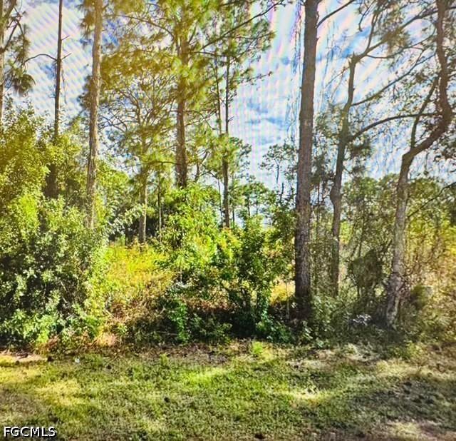 334 Mangonia Ave., Lehigh Acres, FL 33974