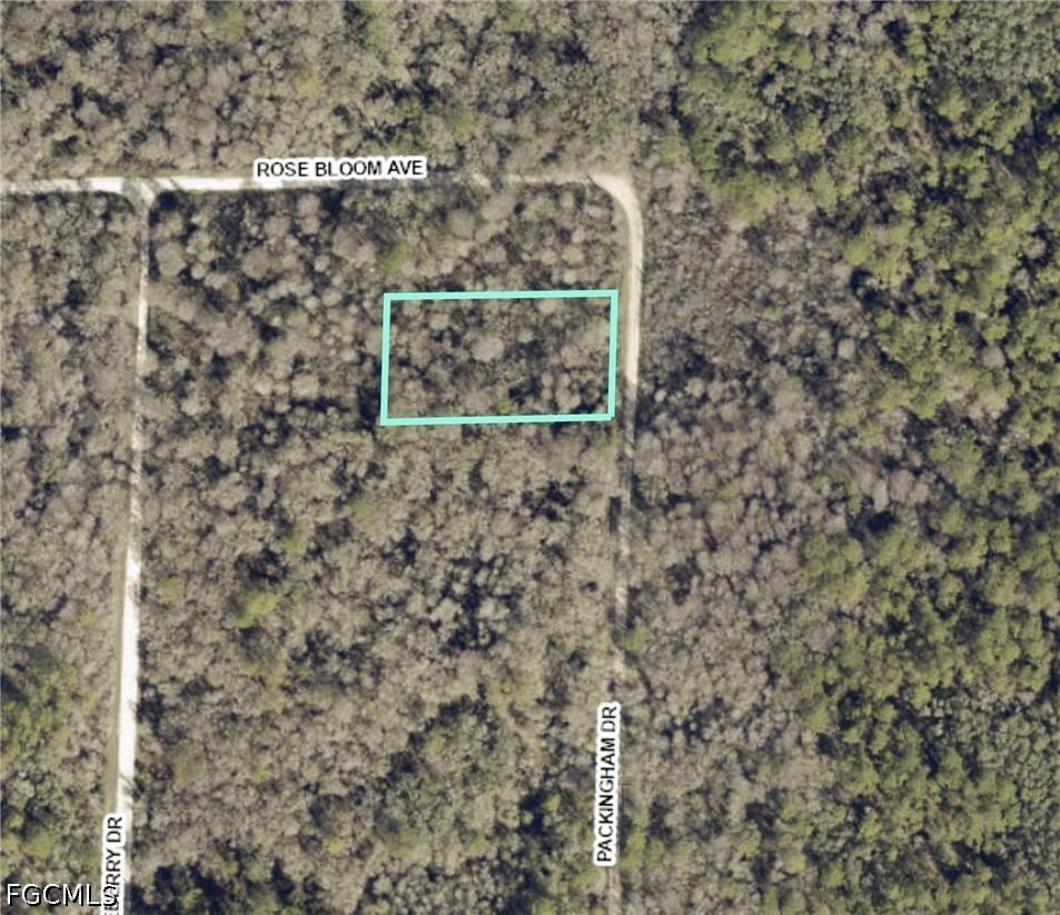 8009 Packingham Dr., Webster, FL 33597