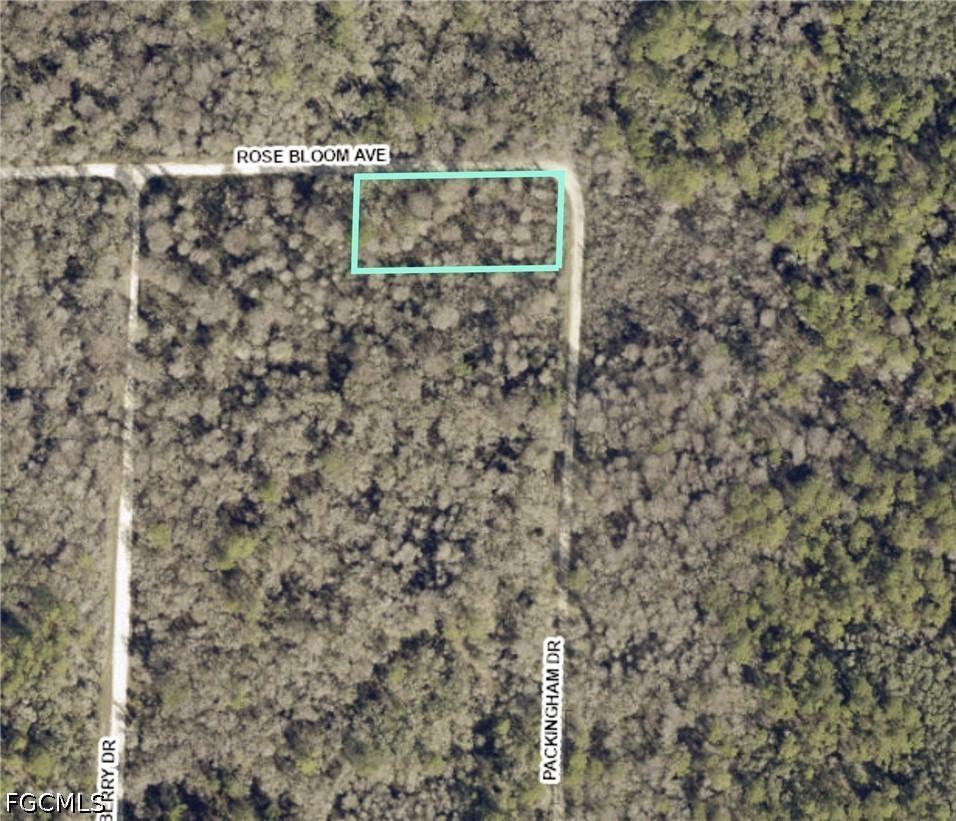 33464 Packingham Dr., Webster, FL 33597