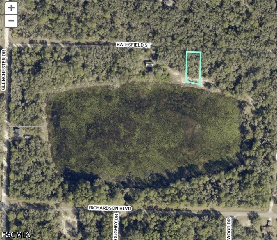 35084 Batesfield St., Webster, FL 33597