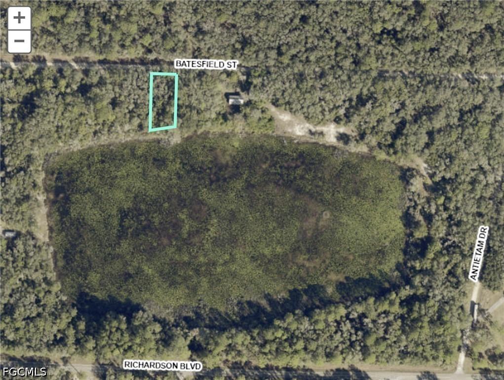 35028 Batesfield St., Webster, FL 33597