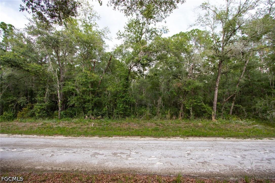 7398 Southeast Ave., Webster, FL 33597