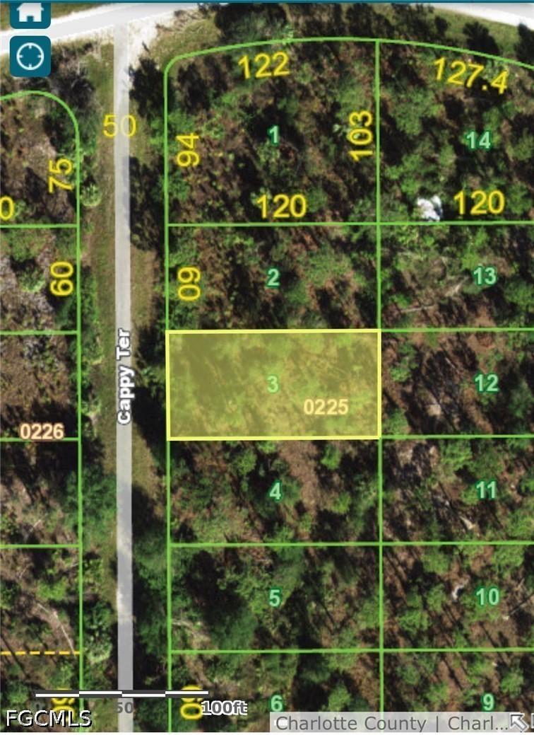 13358 Cappy Ter., Punta Gorda, FL 33955