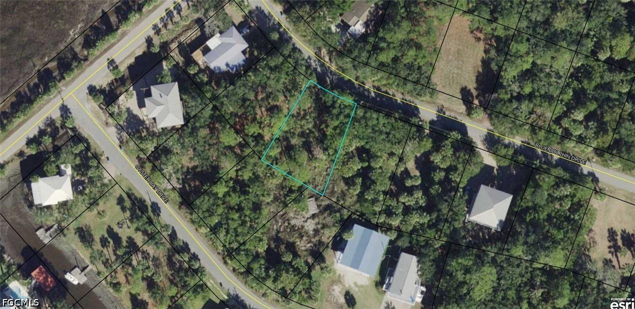 00-00-121-117-12199-057 Blue Dolphin Dr., Crawfordville, FL 32327
