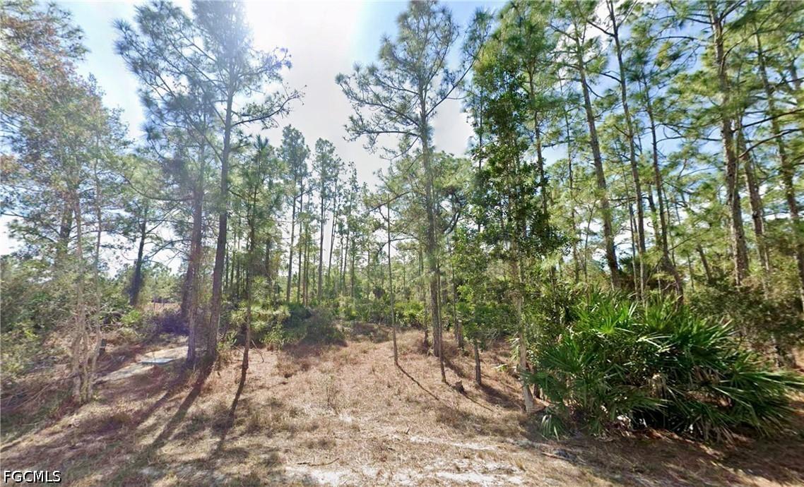 339 Mines St., Lehigh Acres, FL 33972