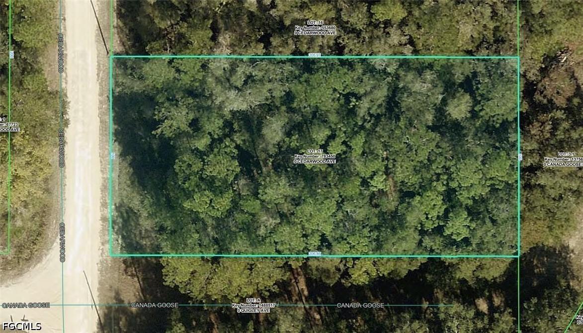 R01-221-17-3357-5520-0170 Cedarwood Ave., Weeki Wachee, FL 34614