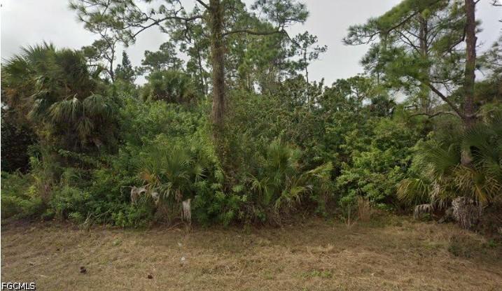 2321 Moore Ave., Alva, FL 33920