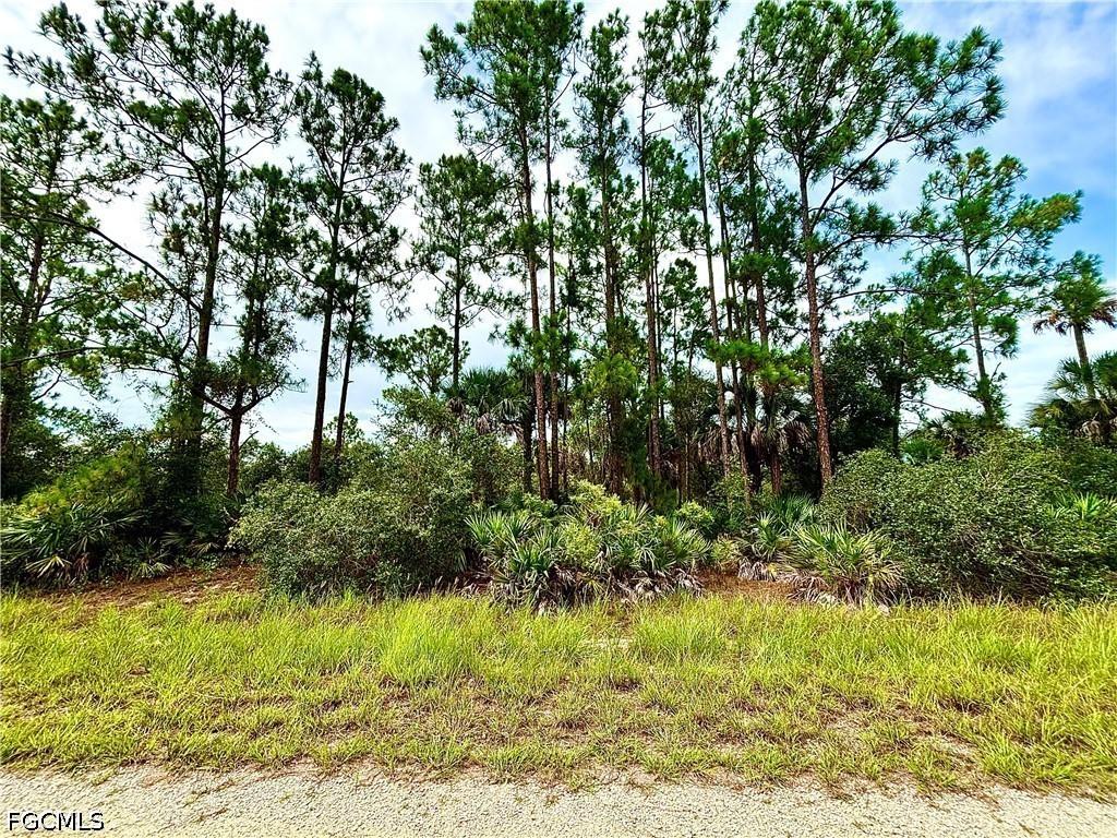 4203 E 27th St., Alva, FL 33920