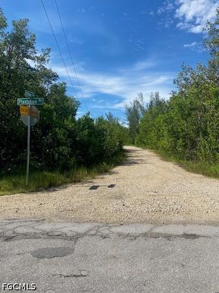 New Homes with Gulf Access in Everglades City: August 3rd to August 9th