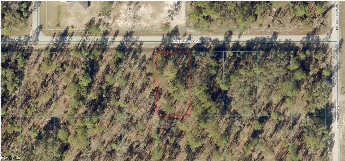 1814-007-013 NW Shamrock Ave., Dunnellon, FL 34431