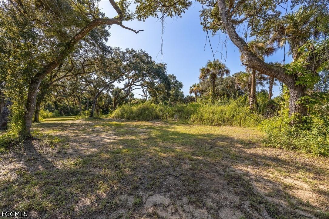 19040 Fox Run Rd., Alva, FL 33920