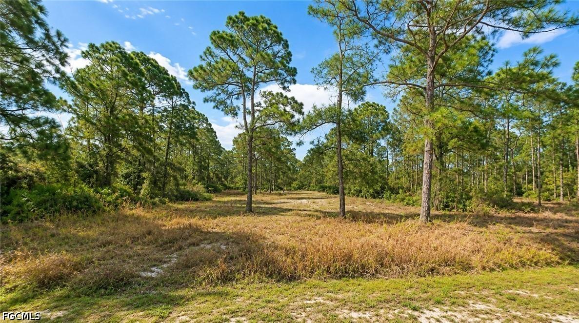 2206 Jefferson Ave., Alva, FL 33920