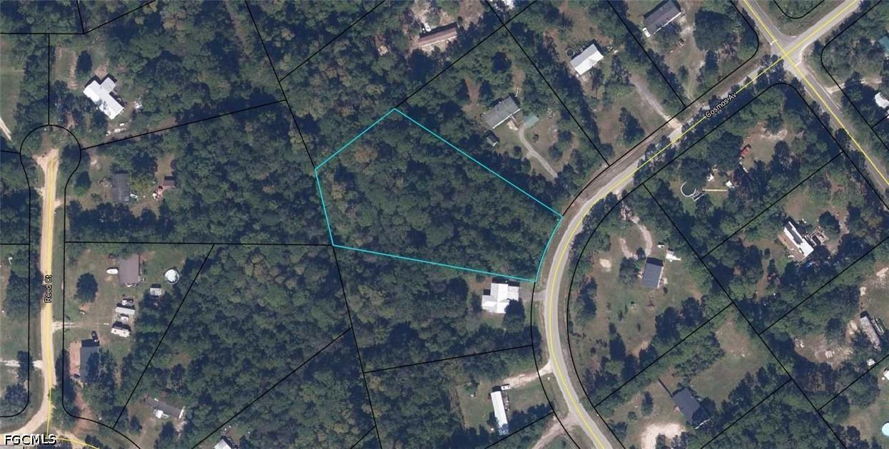 2302 Cosmos Ave., Middleburg, FL 32068