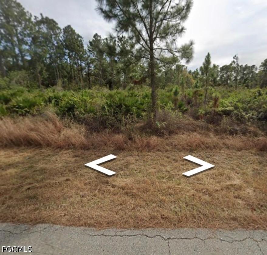 3704 E 21st St., Alva, FL 33920