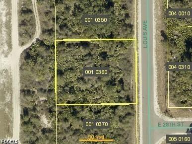 2801 Louis Ave., Alva, FL 33920