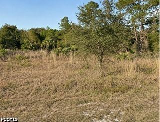 7933 15th Ter., Labelle, FL 33935
