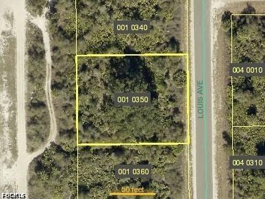 2803 Louis Ave., Alva, FL 33920