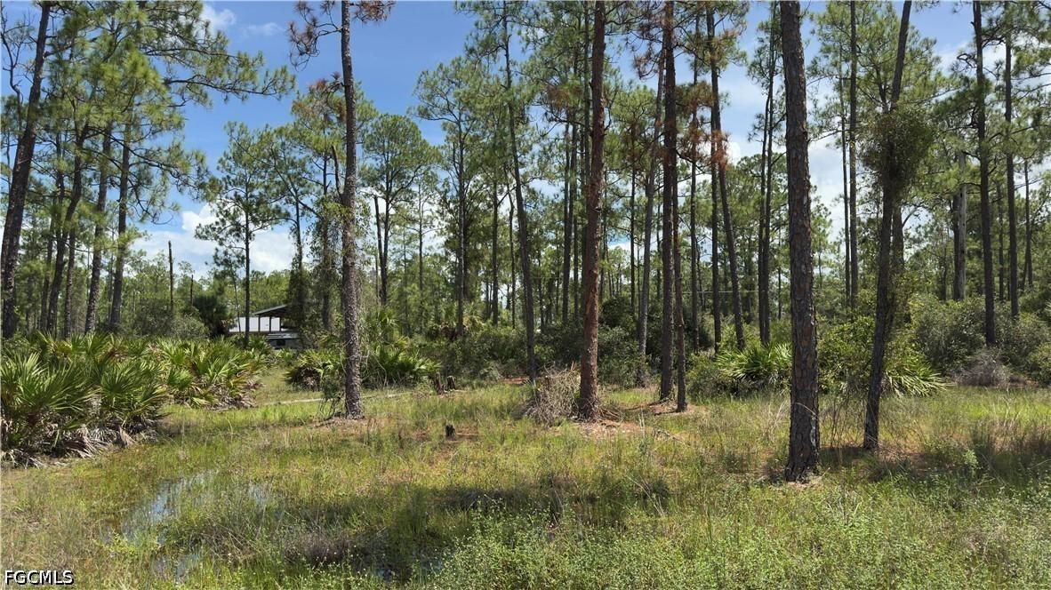 2210 Truman Ave., Alva, FL 33920