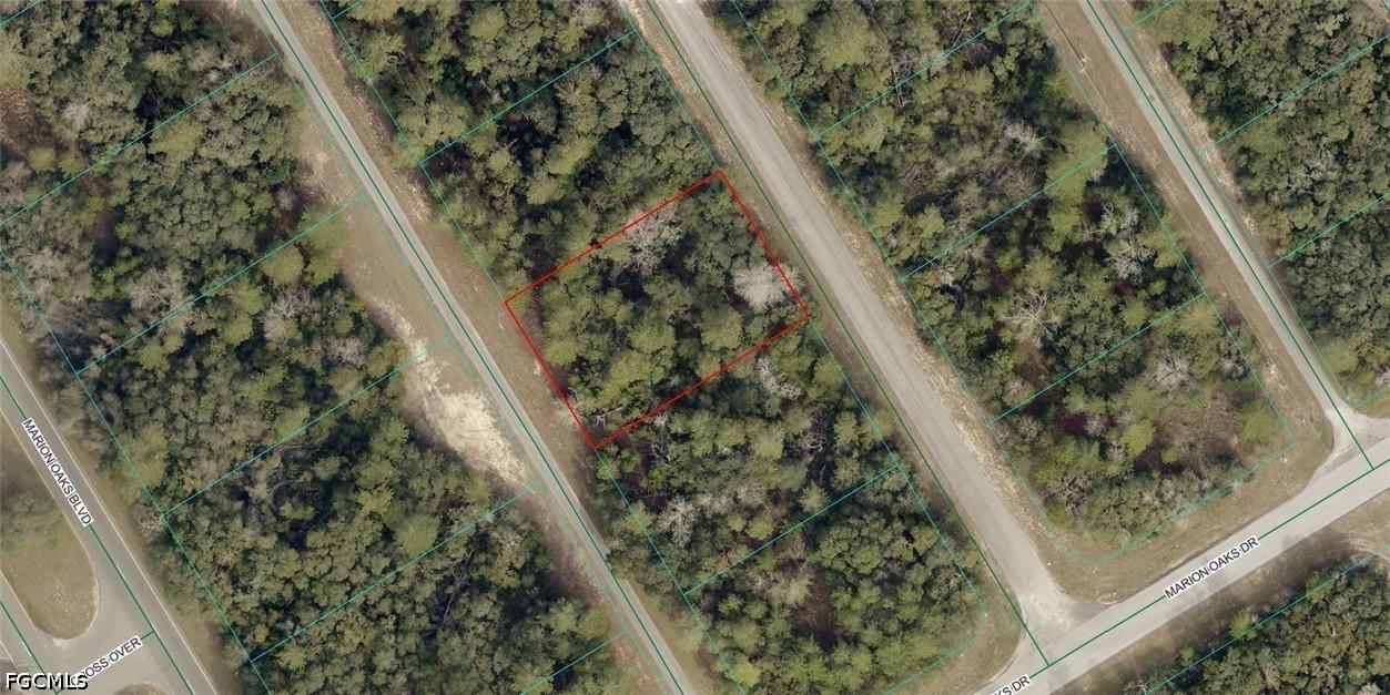 8001-0252-13 Alley Rd., Ocala, FL 34473