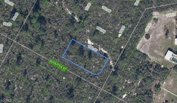 1424 Doolittle St., Lake Placid, FL 33852