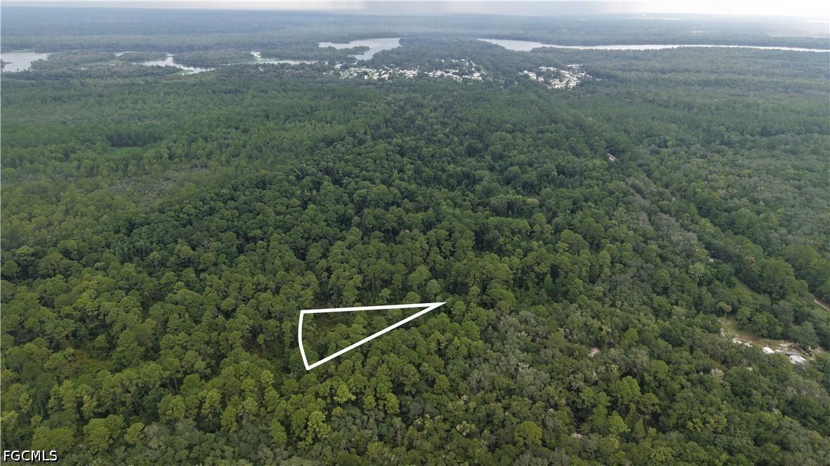 162 Carriage Place, Satsuma, FL 32189