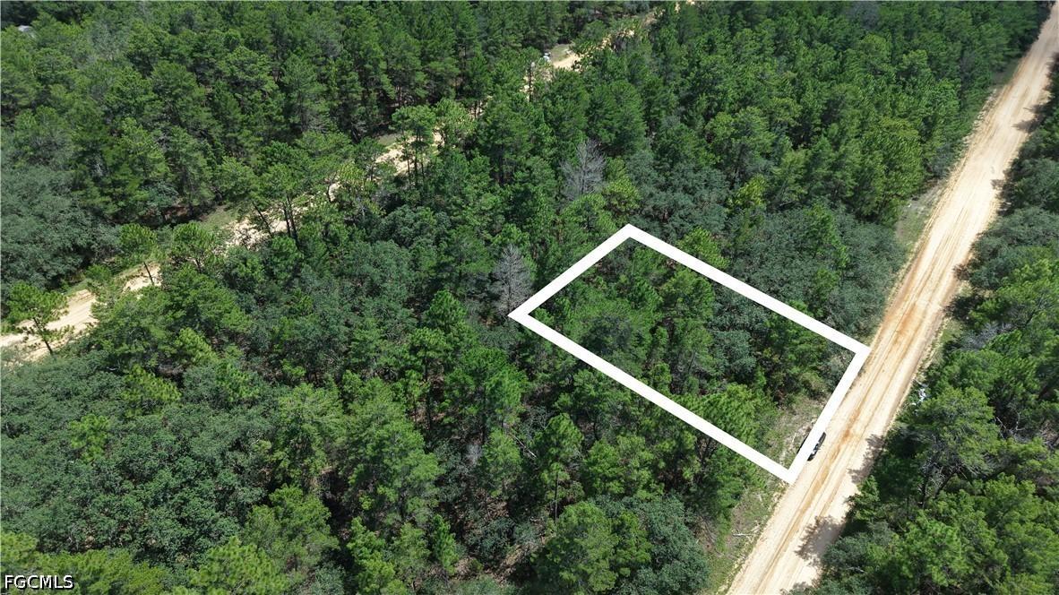 Neilsen Ave, Interlachen, FL 32148