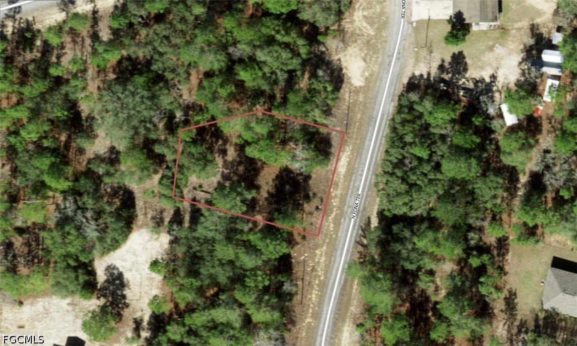 11164 N Edna Ter., Citrus Springs, FL 34433