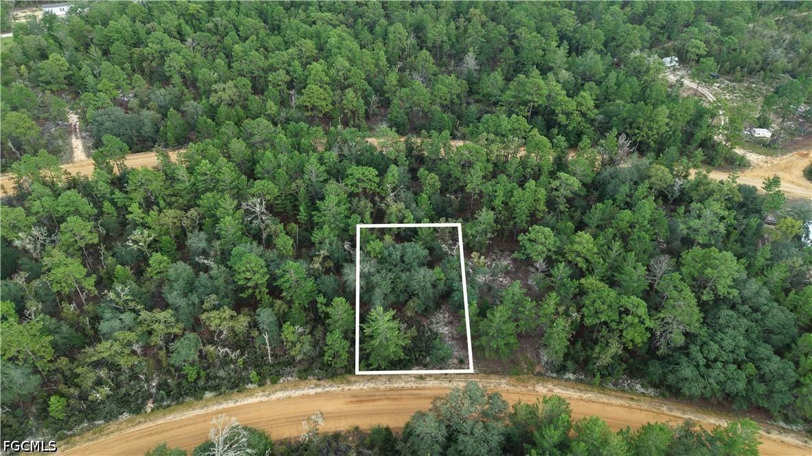 Crocus Ln, Interlachen, FL 32148